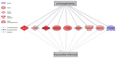 Schizophrenia Plays a Negative Role in the Pathological Development of Myocardial Infarction at Multiple Biological Levels